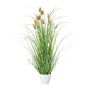 Herbe décorative Lagurus ovatus BIRVO dans un cache-pot en mélamine, panicules, beige, 60cm
