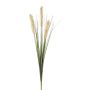 Herbe décorative Blé SUNDY sur piquet, épis, crème, 85cm