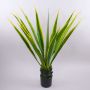 Agave artificielle CHERIE, vert-jaune, 110cm