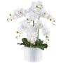 Fleur décorative Orchidée Phalaenopsis TOUNI, pot en céramique, racines, blanc, 60cm