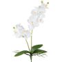 Fleur décorative Orchidée Phalaenopsis KRUZBER, piquet, racines, blanc, 55cm