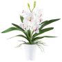 Orchidée Cymbidium en tissu BLORKE dans un cache-pot en mélamine, racines, blanc-rose, 55cm