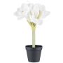 Fleur décorative Amaryllis PRIFT en pot décoratif, blanc, 30cm