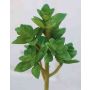 Echeveria gibbiflora artificiel TROY, piquet, vert, 17cm