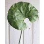 Feuille de nénuphar artificielle ZEREENA, vert, 70cm