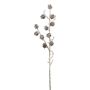 Branche décorative Mélèze BORIKA avec des pommes de pin, givré, blanc-brun, 85cm