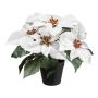 Fleur artificielle Poinsettia FRIZO en pot décoratif, blanc, 26cm