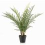 Plante artificielle fougère épée LOWTAN dans un pot décoratif, crossdoor, vert, 65 cm