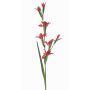 Fleur artificielle, glaïeul GROWEL, corail, 105 cm
