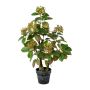 Plante décorative « buisson à perruque » TOLHIN, tronc artificiel, pot décoratif, vert-rose, 60 cm