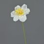 Fleur artificielle Narcisse SKROP, blanc-jaune, 40cm