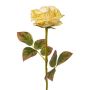Fleur artificielle Rose DRINT, vert-crème, 60cm, Ø10,5cm