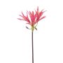 Amaryllis de jardin artificiel XAVLER, rose, 80 cm