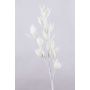 Fausse branche de Sedum MOMOKA, blanc, 110cm