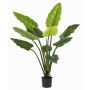 Calathea rufibarba artificiel NUSAKAN, vert, 120cm