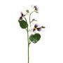 Branche décorative Pensée FREVON, blanc-violet, 45cm