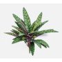 Plante artificielle Calathea Makoyana MANAMI sur tige, vert-rouge, 40 cm