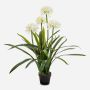 Grande plante artificielle Agapanthus LESEDA dans un pot décoratif, blanc, 105 cm