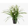 Fleur artificielle orchidée Cymbidium JANILA dans un pot décoratif, blanche, 85 cm