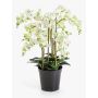 Fleur artificielle orchidée Phalaenopsis FINEA dans un pot décoratif, crème, 85 cm