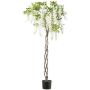 Arbre artificiel glycine SINKE avec fleurs, tronc tressé, blanc, 170 cm