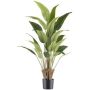 Plante artificielle « Arbre du voyageur » SLANKE, verte, 120 cm