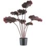 Palmier cuillère artificiel GRAVO, rouge foncé, 100cm
