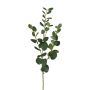 Branche décorative Eucalyptus JINVAL, vert, 80cm