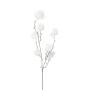 Branche de fothergilla décorative SMORKE avec des fleurs, blanc, 75cm