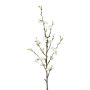 Branche de fleurs de cognassier artificielle SLORNE avec des fleurs, blanc, 85cm
