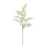 Branche artificielle Asparagus Plumosus PLAVIN, vert, 85cm