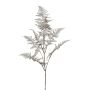 Branche artificielle Asparagus Plumosus BLORVI, argent antique, 90cm