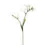 Branche décorative Freesia FONDYL, blanc, 70cm