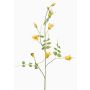 Branche décorative de clématite LENOMA, jaune, 115 cm