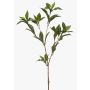 Branche décorative de laurier ITRELK, verte, 90 cm