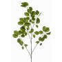 Branche décorative de schefflera KRUVEN, verte, 120 cm
