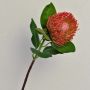 Protea artificielle TANJA, rouge-orange, 65cm