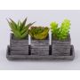 Arrangement de fausses succulentes SYLVIA, pots décoratifs, vert, 19x7,5x11cm