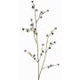 Stirlingia latifolia artificiel COLLAN, noir-blanc, 85cm