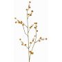 Stirlingia latifolia artificiel COLLAN, orange-vert, 75cm, Ø1cm