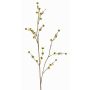 Stirlingia latifolia artificiel COLLAN, jaune-vert, 75cm, Ø1cm