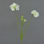 Scabiosa en tissu ANDIA, blanc, 80cm, Ø8-10cm