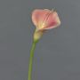 Calla artificiel MIRAC, rose-jaune, 75cm, 13x15cm