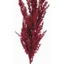 Branche artificielle Panicule de l'herbe de la pampa THEMBA, rouge bourgogne, 115cm