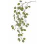 Branche d'eucalyptus artificielle MURZIM avec fruits, vert, 145cm