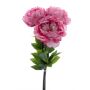 Bouquet de pivoines artificiel DUDIL, rose-fuchsia, 50cm