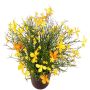Fleur décorative « Impatiens » GISINDA dans un pot décoratif, jaune-orange, 25 cm