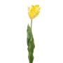 Tulipe perroquet déco LUNIA, jaune clair, 70cm