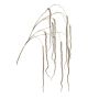 Branche artificielle Amaranthus YAELLE à fleurs, suspendu, brun, 140cm