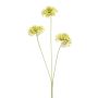 Branche artificielle Œillet VILJA, vert clair, 50cm